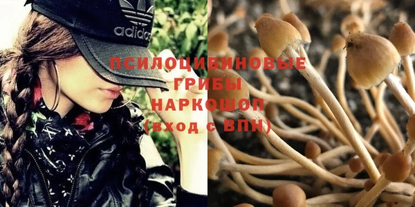 прущий лед Абаза